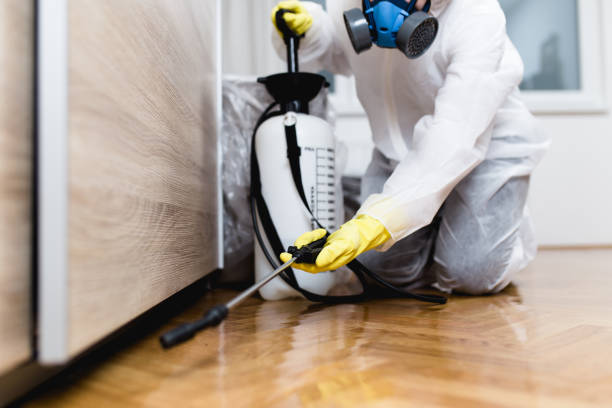 Best Local Pest Control Services  in Balmville, NY
