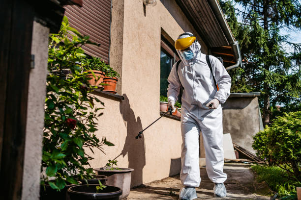 Best Exterminator Services  in Balmville, NY