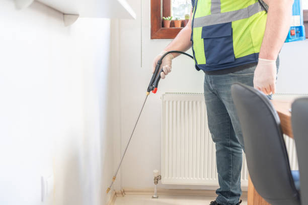 Flea Control Services in Balmville, NY