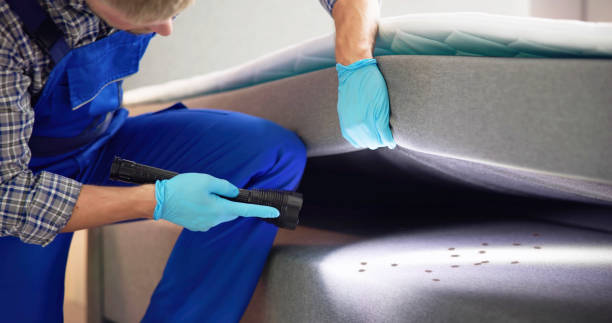 Best Affordable Exterminators  in Balmville, NY