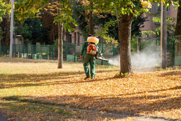Best Pest Control Near Me in Balmville, NY