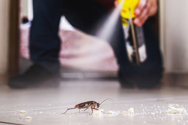 Best Rat Extermination Near Me  in Balmville, NY