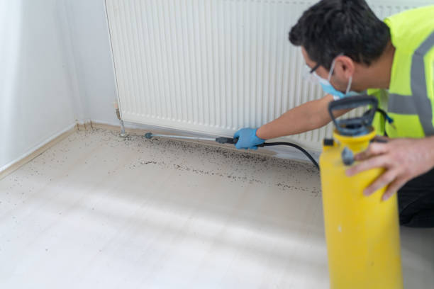 Best Flea Control Services  in Balmville, NY