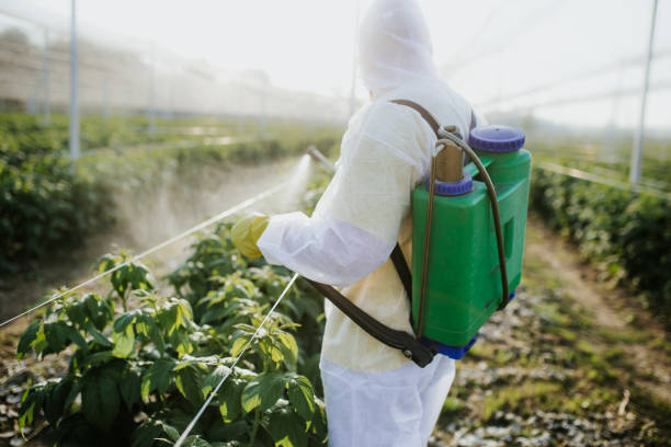 Best Commercial Pest Control Services  in Balmville, NY